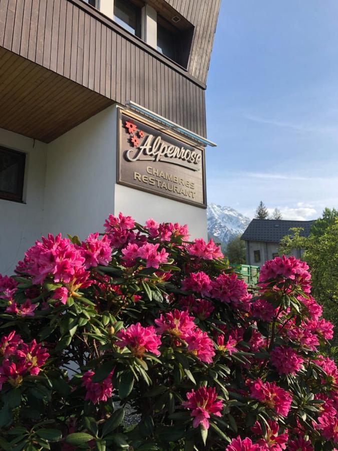 Alpenrose Chamonix Hostel Luaran gambar