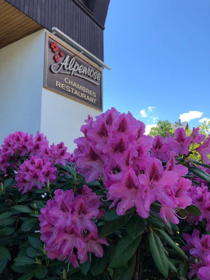 Alpenrose Chamonix Hostel Luaran gambar